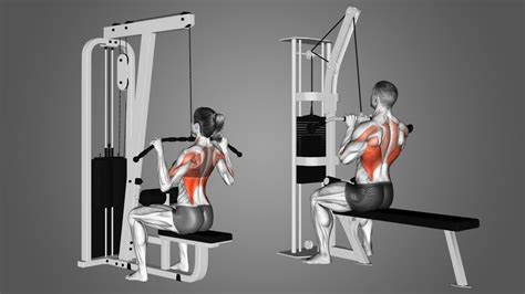 Narrow Grip Lat Pulldown