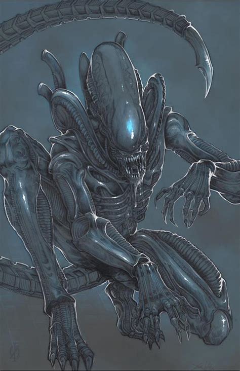 Xenomorph Alien by ChrisOzFulton on DeviantArt