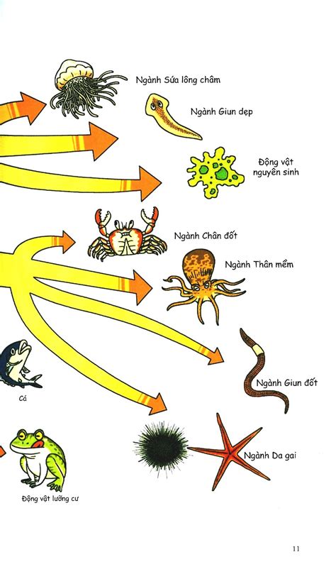 Sách Khám Phá Thế Giới Động Vật - FAHASA.COM