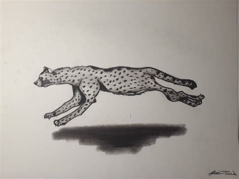 Cheetah Running Drawing by LonelyArtistStudios on DeviantArt