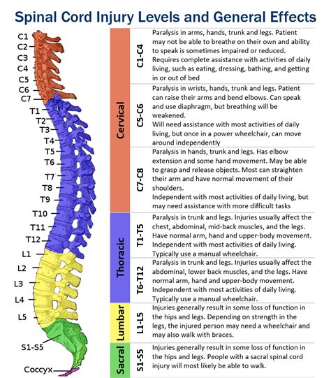 Cervical Spinal Cord Injury Causes Doctorpedia | Hot Sex Picture