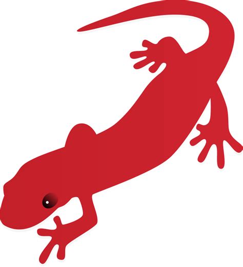 Salamander clipart - Clipground