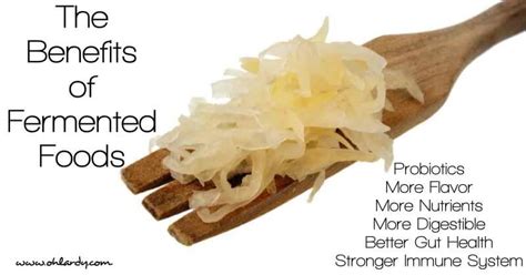 7 Benefits of Fermented Foods - Oh Lardy