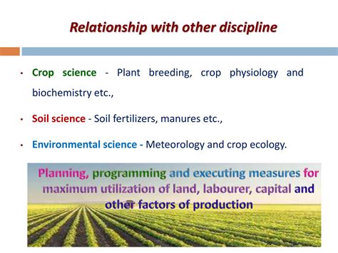 Agronomic Crops Classification - Agriculture | PPT | Free Download