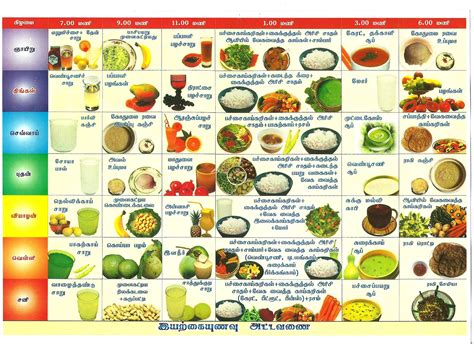 Balanced Diet Chart - Cliparts.co