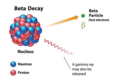 Radioactive Decay and Nuclear Radiation - Shalom Education