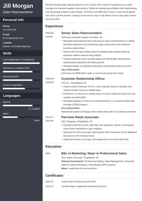 Profissional Cv Template For Your Needs