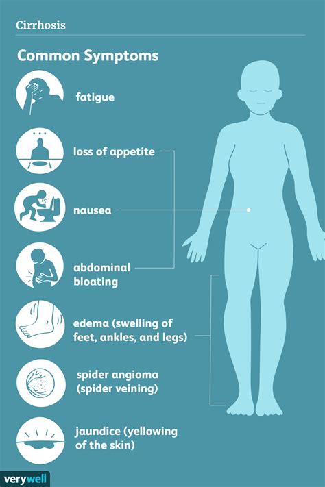 Cirrhosis of the Liver: Symptoms, Causes, and Treatment