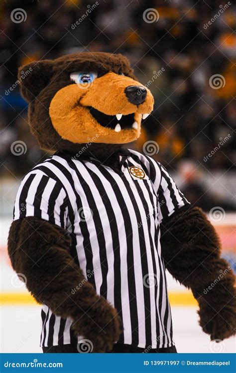 Boston Bruins Mascot Blades Editorial Photography - Image of mascot ...