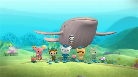 Octonauts - Series 1: 11. The Blobfish Brothers - BBC iPlayer