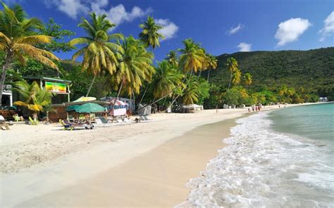 Tortola island, BVI - Ultimate guide (December 2024)