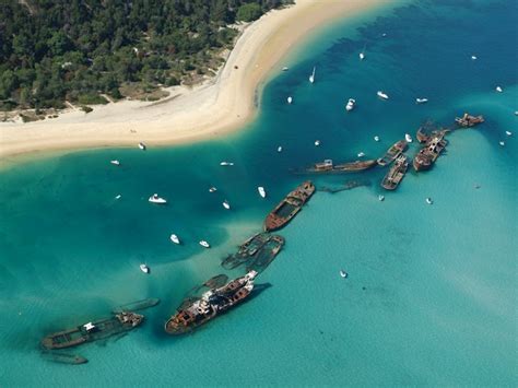 Tangalooma Wrecks | Moreton Island near Tangalooma Resort