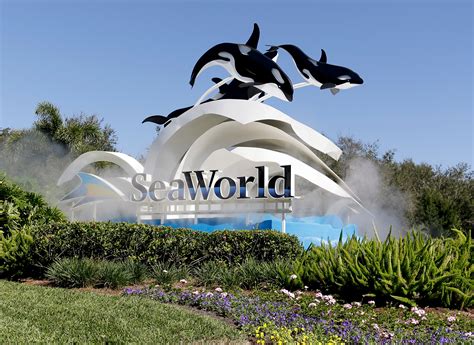 SeaWorld to reopen San Antonio park June 19 | Fox Business