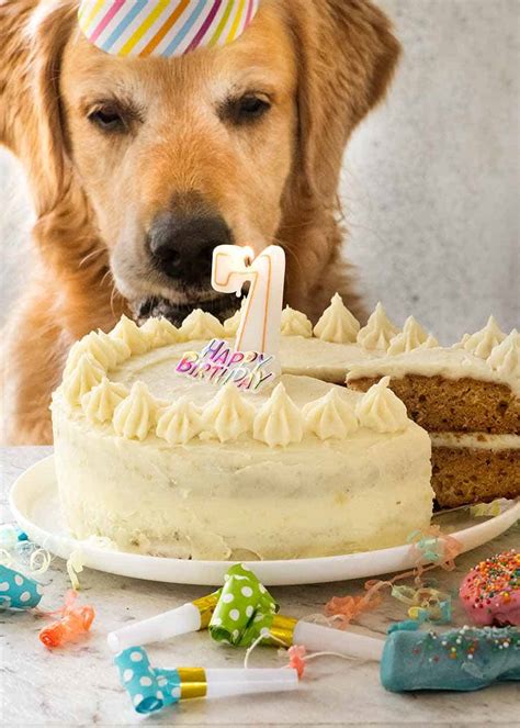 Dog Cake recipe for Dozer's birthday! | RecipeTin Eats