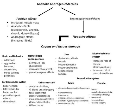 Side Effects of Anabolic Steroids | M2PROTEINS