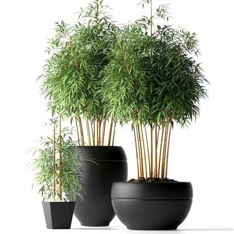 11. Plants Free Sketchup Model | Planta de decoração interior, Plantas ...