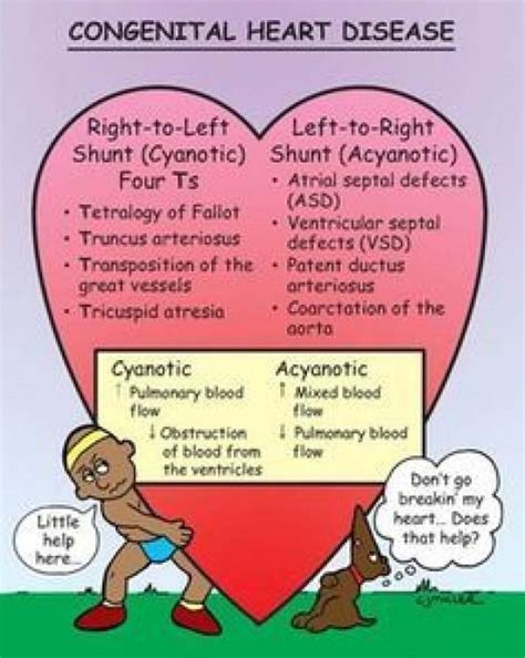 Pediatric Heart Defects Mnemonics | Images and Photos finder