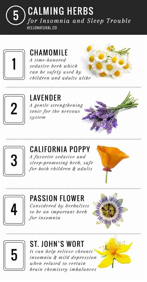 5 Calming Herbs for Insomnia | HelloNatural.co