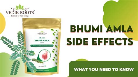 Bhumi Amla Side Effects: What You Need to Know – Vedikroots