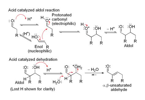 Aldol Condensation - Mechanism of Aldol Condensation | BYJU'S