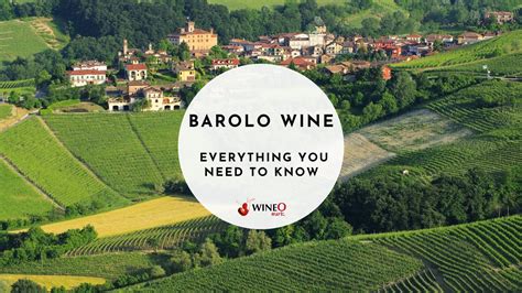 Barolo Wine: All You Need To Know About The "King of Wines"