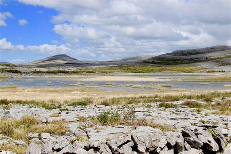 The Burren National Park Essential Guide - Wilderness Ireland