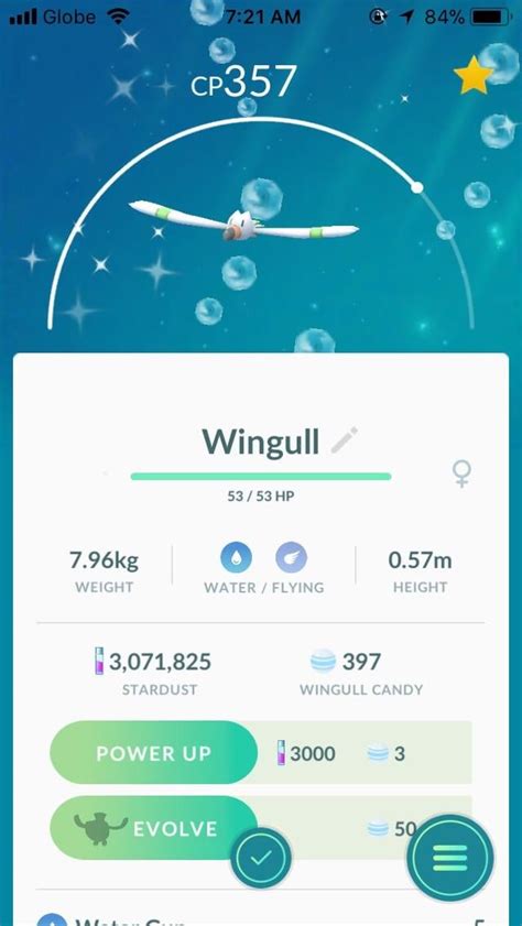 Shiny Wingull : r/TheSilphRoad