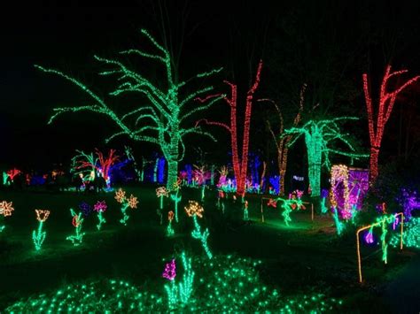 2024 Meadowlark Gardens Winter Walk of Lights Beautiful Holiday Fun