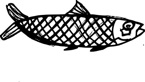 10 Fish Drawing (PNG Transparent) | OnlyGFX.com