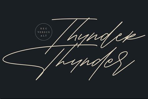 Shaloems Handwritten Signature Font | Stunning Script Fonts ~ Creative ...