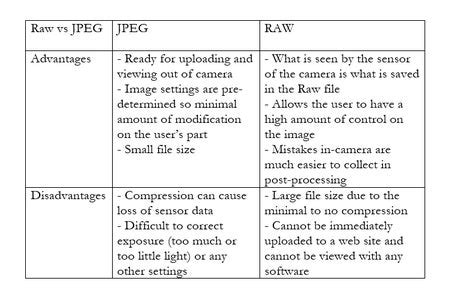 A Complete Beginner's Guide to Raw Files and Raw Processing : 11 Steps ...