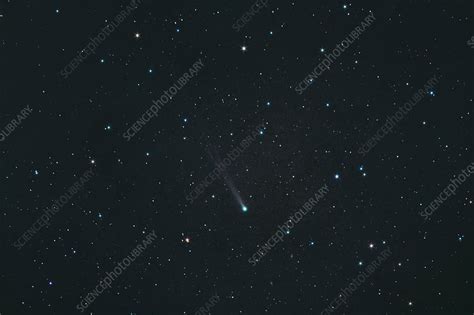 Comet ISON, 2013 - Stock Image - C036/2850 - Science Photo Library