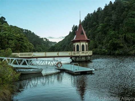 Zealandia Ecosanctuary by Night and Day - Wildlife Outside Wellington