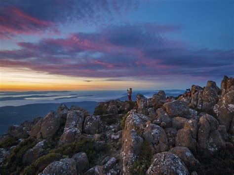 Wellington Park - Discover Tasmania