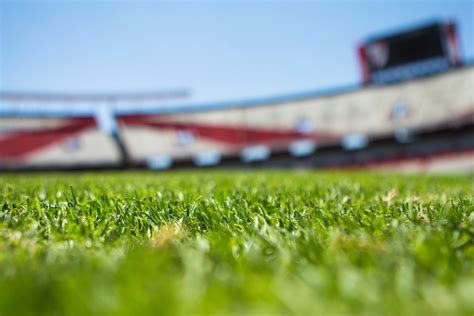 Green Grass Across Beige Red Open Sports Stadium during Daytime · Free ...