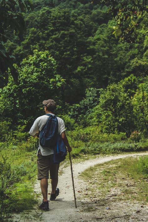 Tips And Techniques To Using Trekking Poles Properly