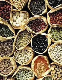 Vegetable Seeds - Native Organic Vegetable Seeds Manufacturer from Chennai