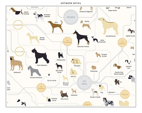 Dog Breeds Print Poster for Home Gift for Pet & Animal - Etsy