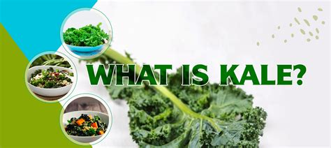 What is Kale? What are its health benefits? - Food & Nutrition ...