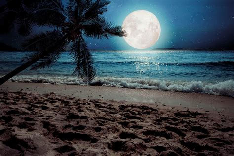 Moon Night Ocean Wallpaper