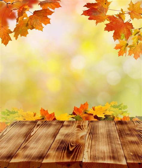 2021 Photography Vinyl Photo Autumn Backdrop Maple Leaves Baby Newborn ...