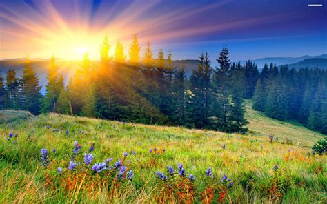 Sunrise Spring Wallpapers - Wallpaper Cave