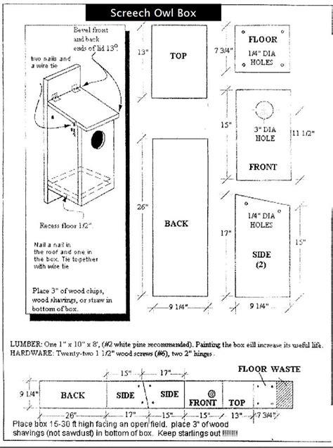 Owl Box Plans — Austin Wildlife Rescue