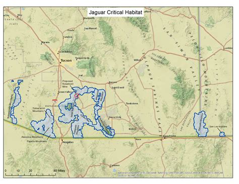 Final critical habitat designated for the jaguar in the United States