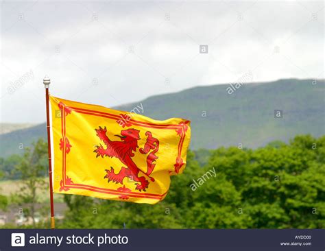 Scottish Lion Rampant flag in rural setting Stock Photo - Alamy