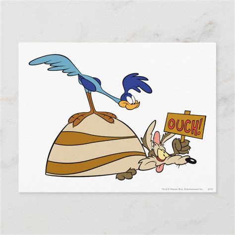 Wile E Coyote and ROAD RUNNER™ Acme Products 5 Postcard | Zazzle ...