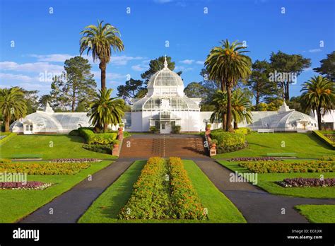 The Victorian Conservatory of Flowers botanical garden in Golden Gate ...