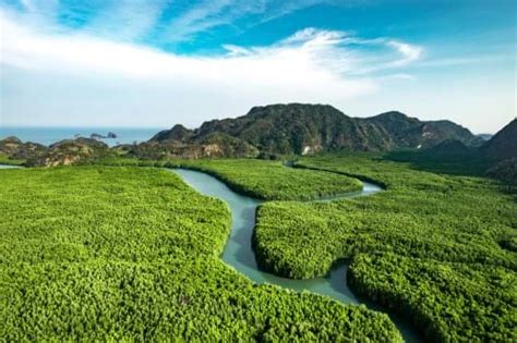 Rainforest Malaysia | The Datai Langkawi, 5 Star Resort