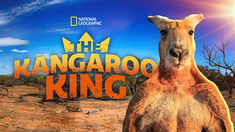 Ver The Kangaroo King | Disney+