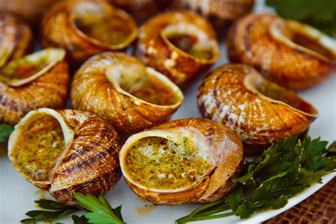 Exclusive Escargot - Snail Meal, Snail Food | Exclusive Escargot